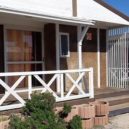 Parque De Campismo Da Praia Da Barra Gafanha da Nazaré Exteriör bild