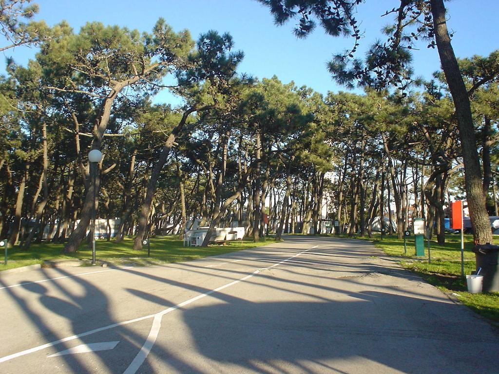 Parque De Campismo Da Praia Da Barra Gafanha da Nazaré Exteriör bild
